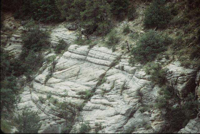 Cross bedding in the Coconino
              Sandstone shows preserved ancient sand dunes.