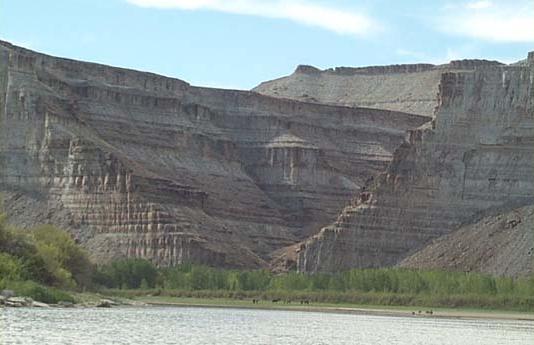 Photograph shows thousands of
                  layers in the Green River Shale.