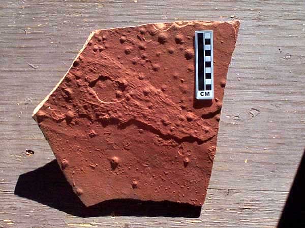Raindrop impressions preserved in the
              Coconino Sandstone.