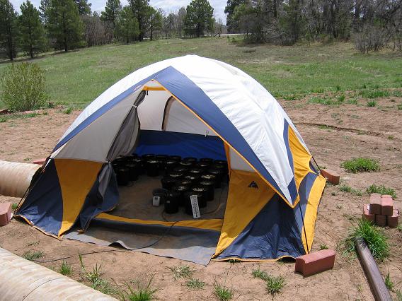 The
        white, yellow, and blue temporary "greenhouse"