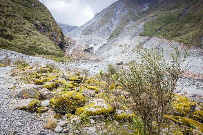 A 2016 view of where the Fox Glacier used to be.