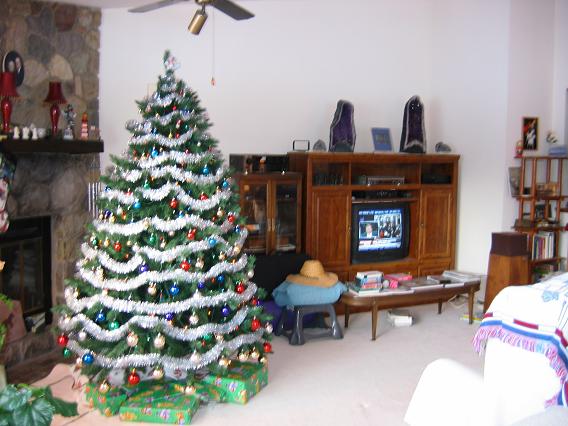 Christmas tree 2006