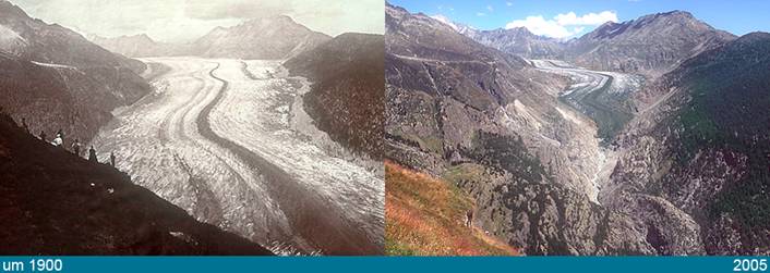 The Great Aletsch Glacier is the longest glacier
          in the Alps.