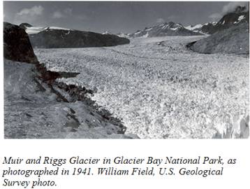 A 1941 view of the Muir Glacier in Glacier Bay
          National Park.