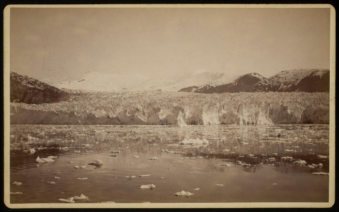 The terminus of the Taku Glacier as seen in 1891